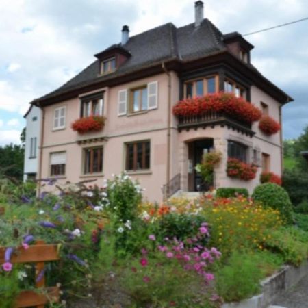Au Chant De La Riviere Stosswihr Exterior foto