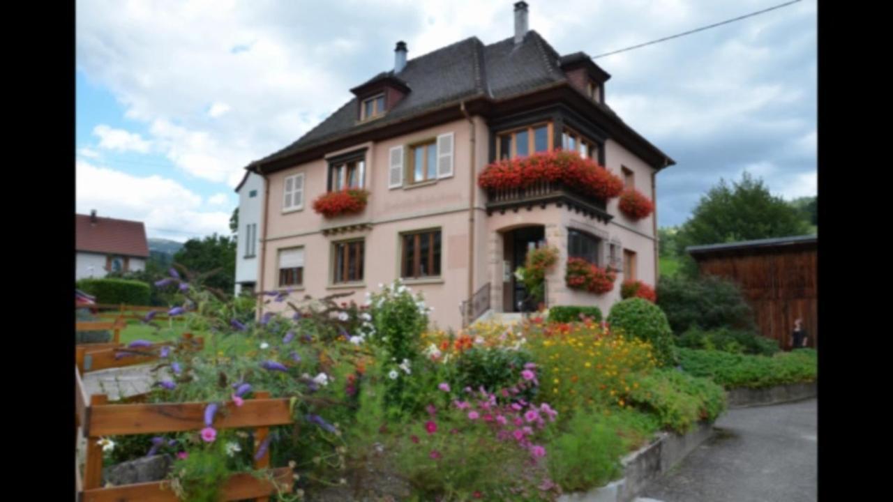 Au Chant De La Riviere Stosswihr Exterior foto